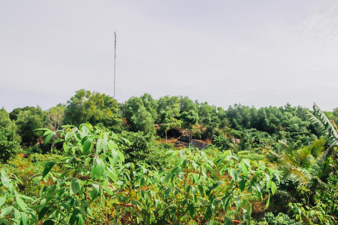 دونغ دونغ Mai Phong Bungalow المظهر الخارجي الصورة